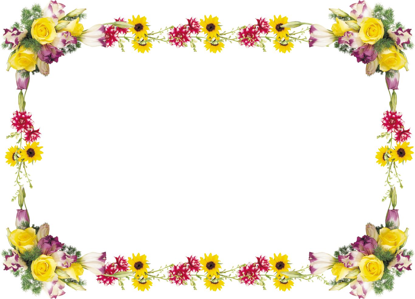 Floral frame PNG    图片编号:81265