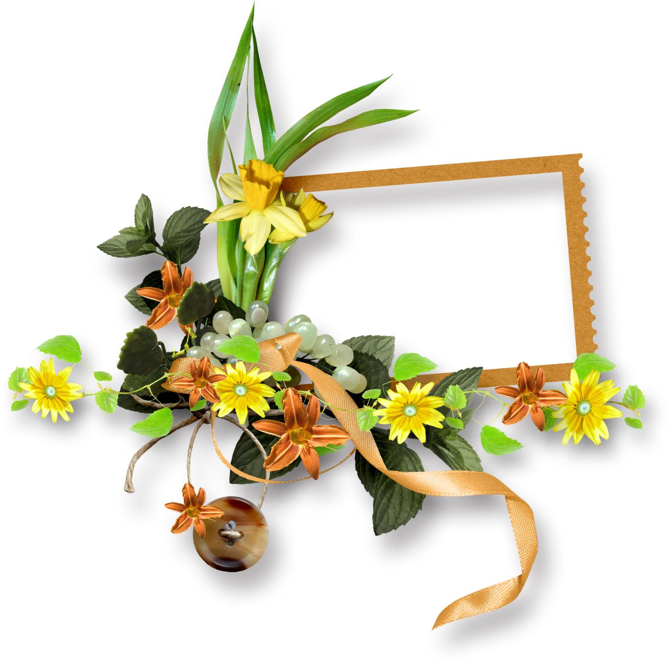 Floral frame PNG    图片编号:81268
