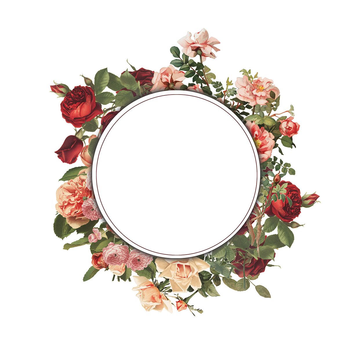 Floral frame PNG    图片编号:81037