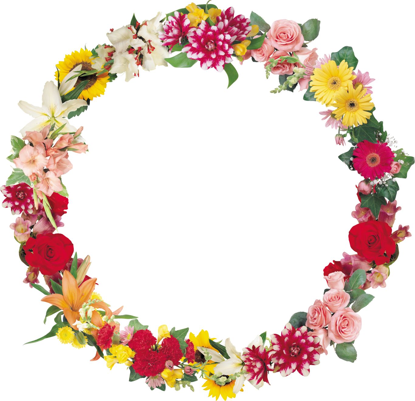 Floral frame PNG    图片编号:81272