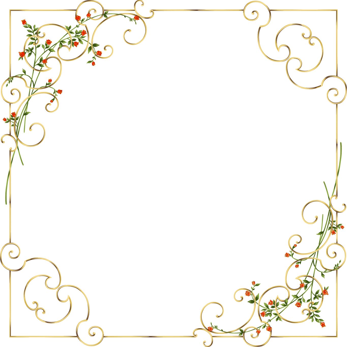 Floral frame PNG    图片编号:81273