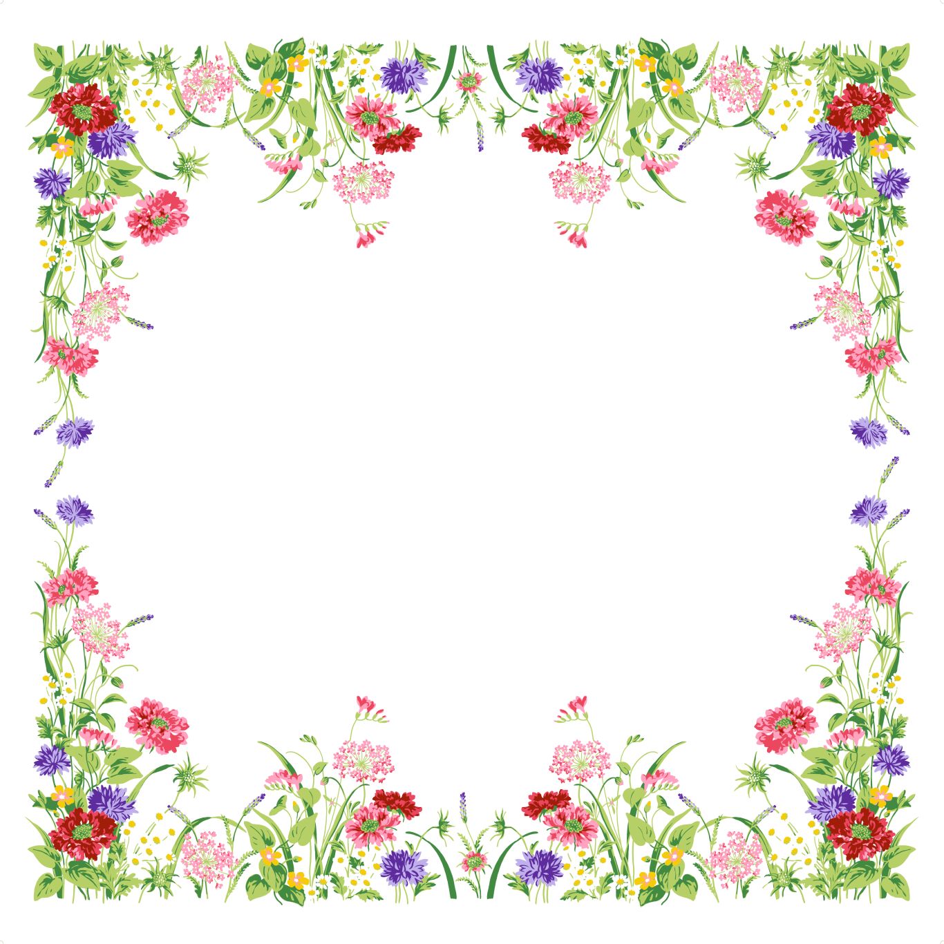 Floral frame PNG    图片编号:81279