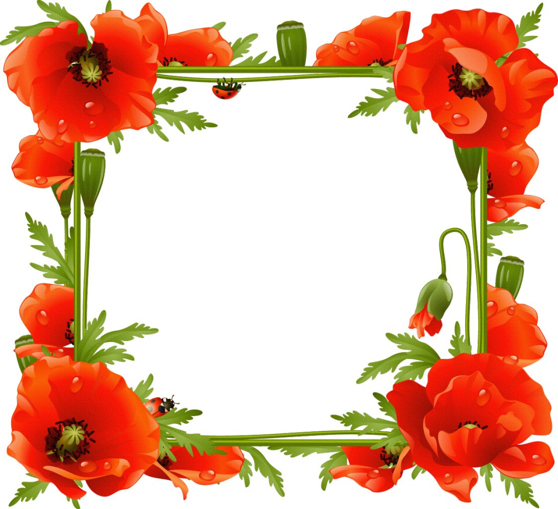 Floral frame PNG    图片编号:81038