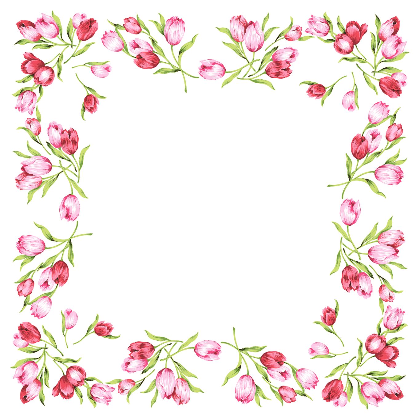Floral frame PNG    图片编号:81282