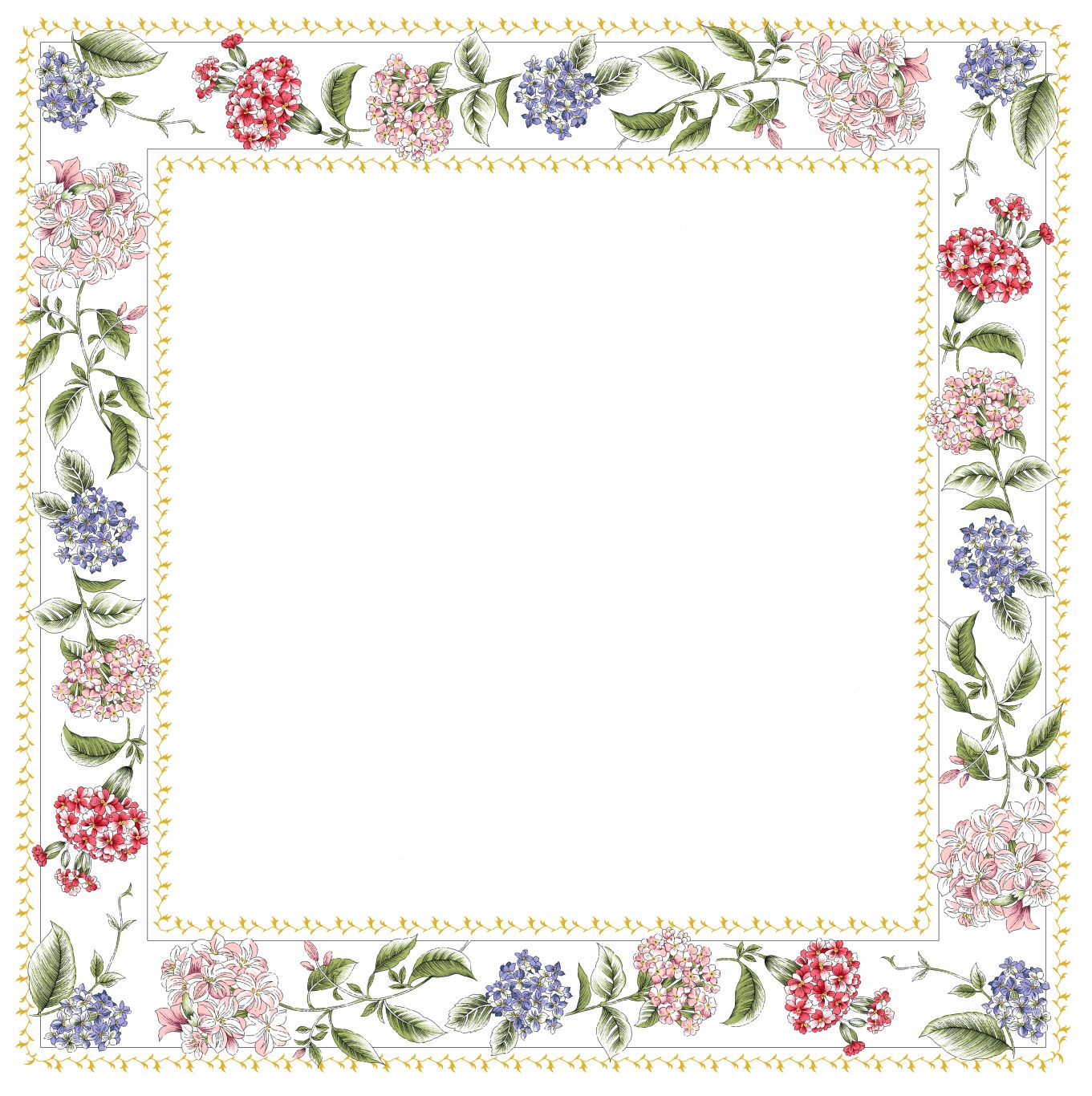 Floral frame PNG    图片编号:81284