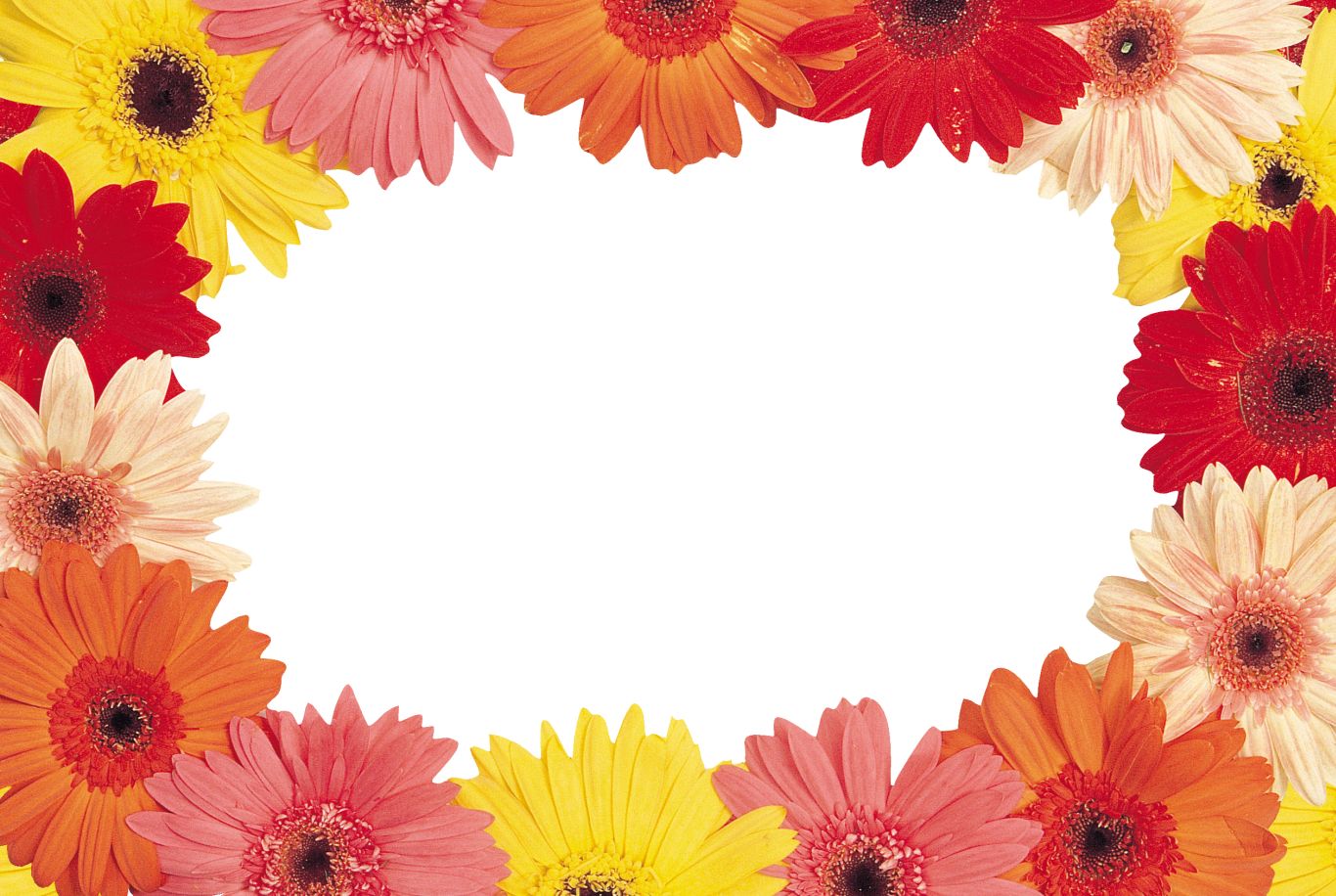 Floral frame PNG    图片编号:81300