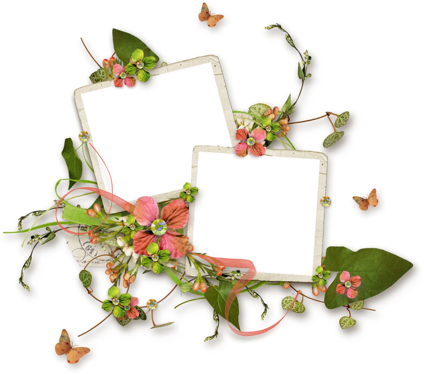 Floral frame PNG    图片编号:81304