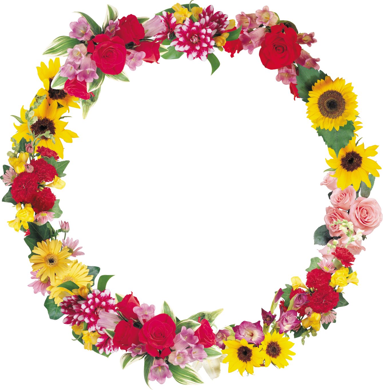 Floral frame PNG    图片编号:81309