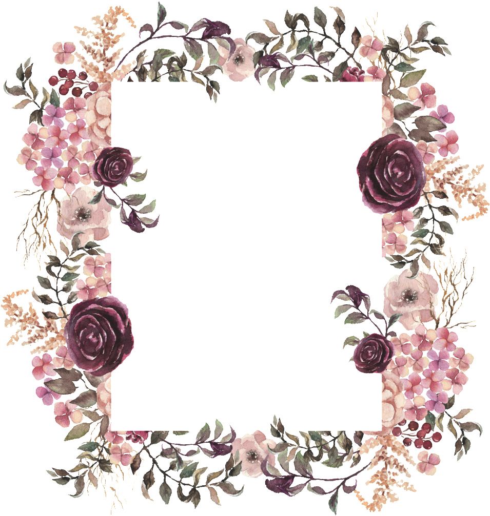 Floral frame PNG    图片编号:81014