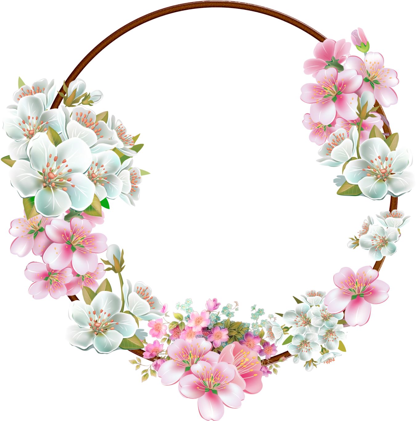 Floral frame PNG    图片编号:81041