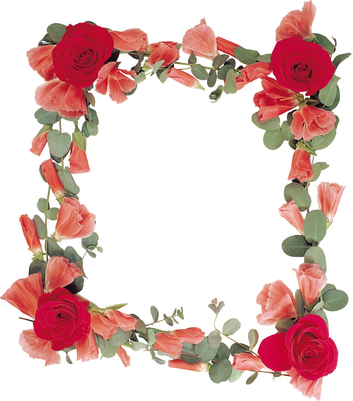 Floral frame PNG    图片编号:81313