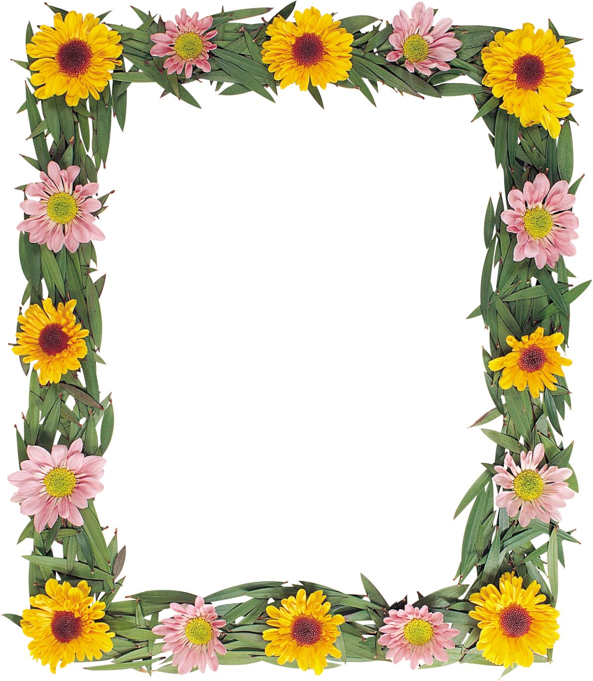 Floral frame PNG    图片编号:81314