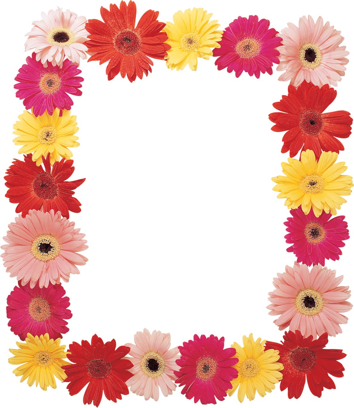 Floral frame PNG    图片编号:81315