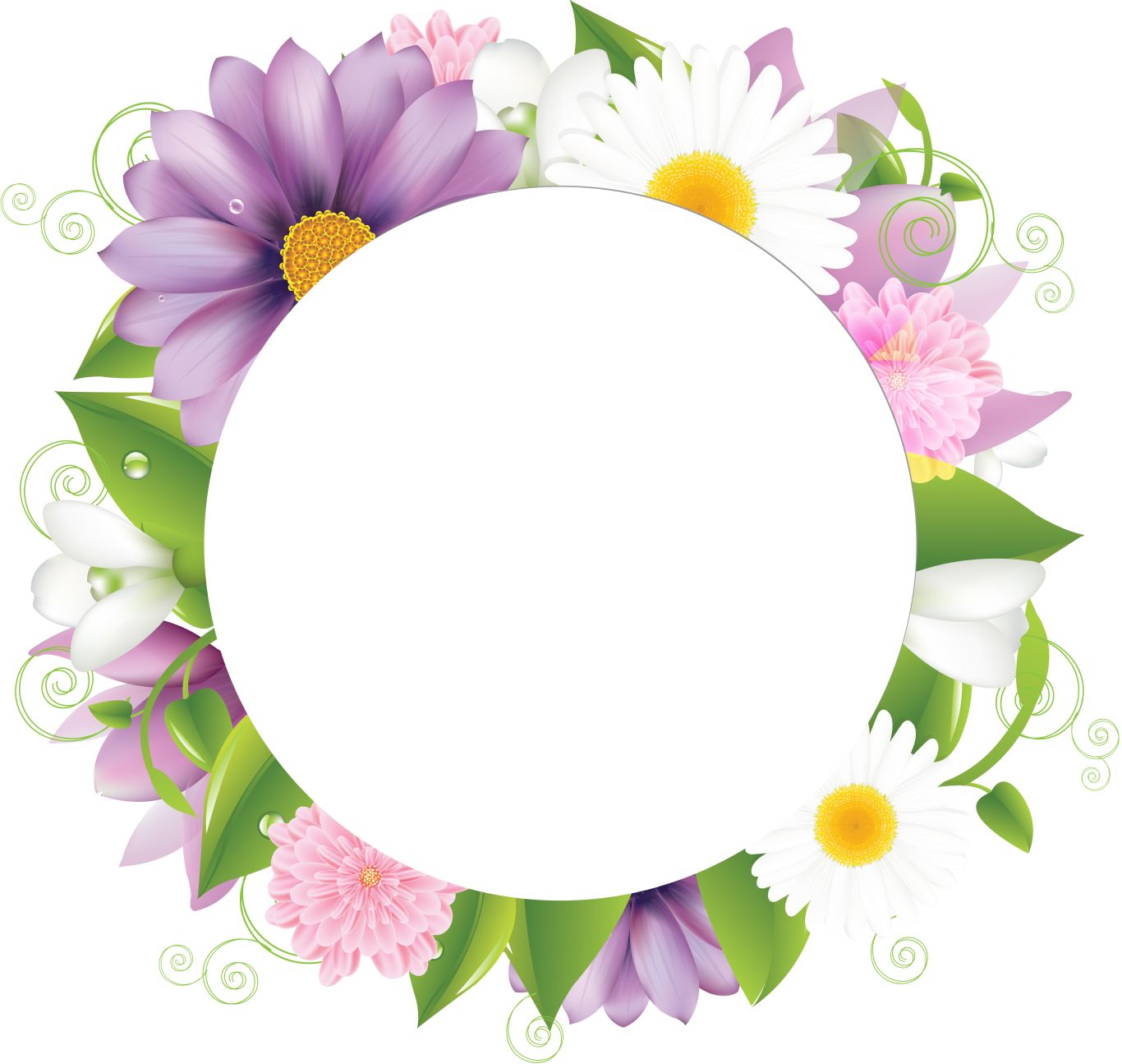 Floral frame PNG    图片编号:81317
