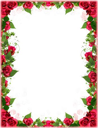 Floral frame PNG    图片编号:81322
