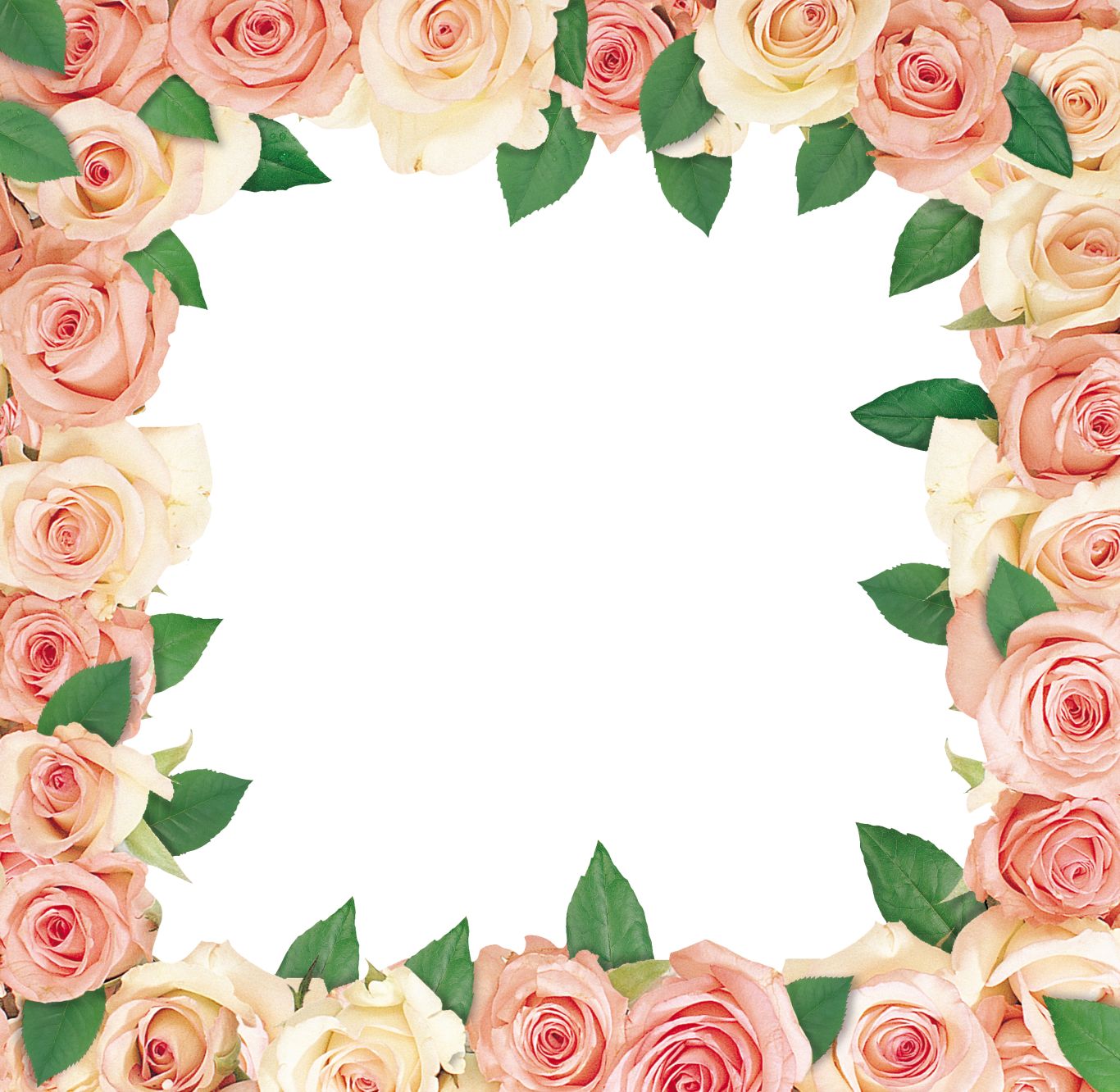 Floral frame PNG    图片编号:81332