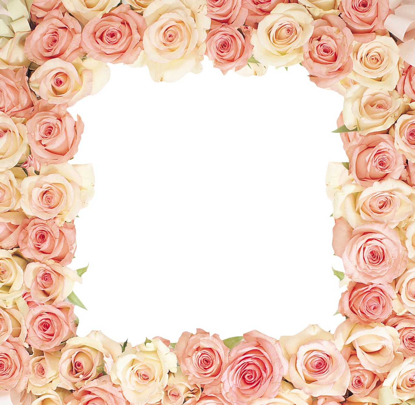 Floral frame PNG    图片编号:81333