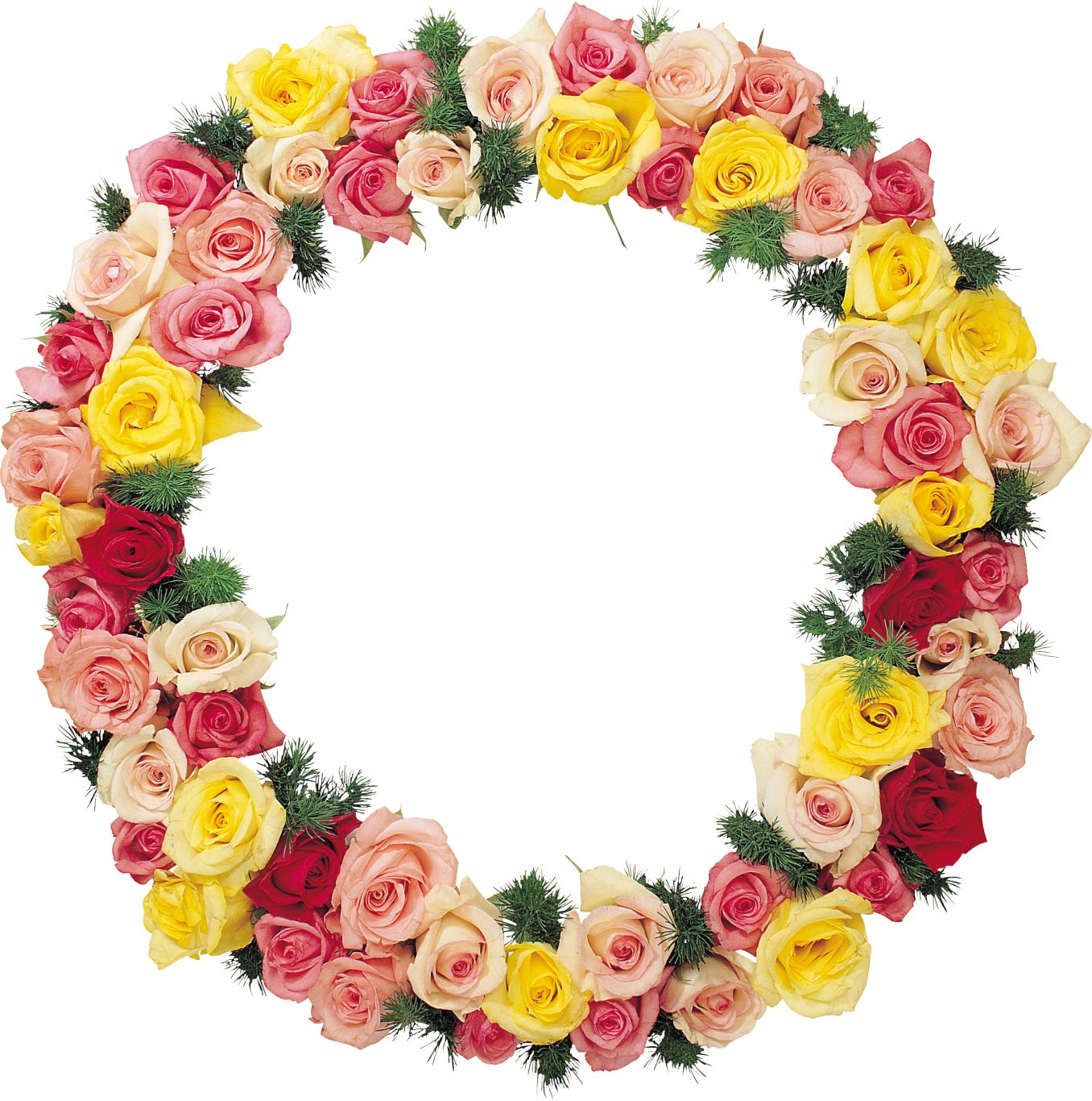 Floral frame PNG    图片编号:81339