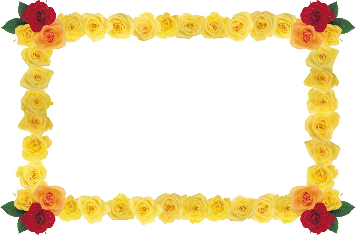 Floral frame PNG    图片编号:81340