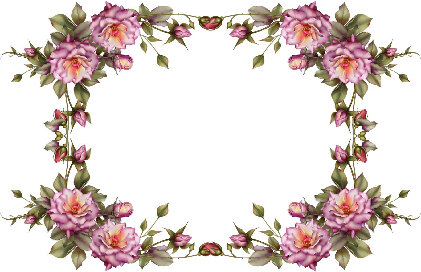 Floral frame PNG    图片编号:81044