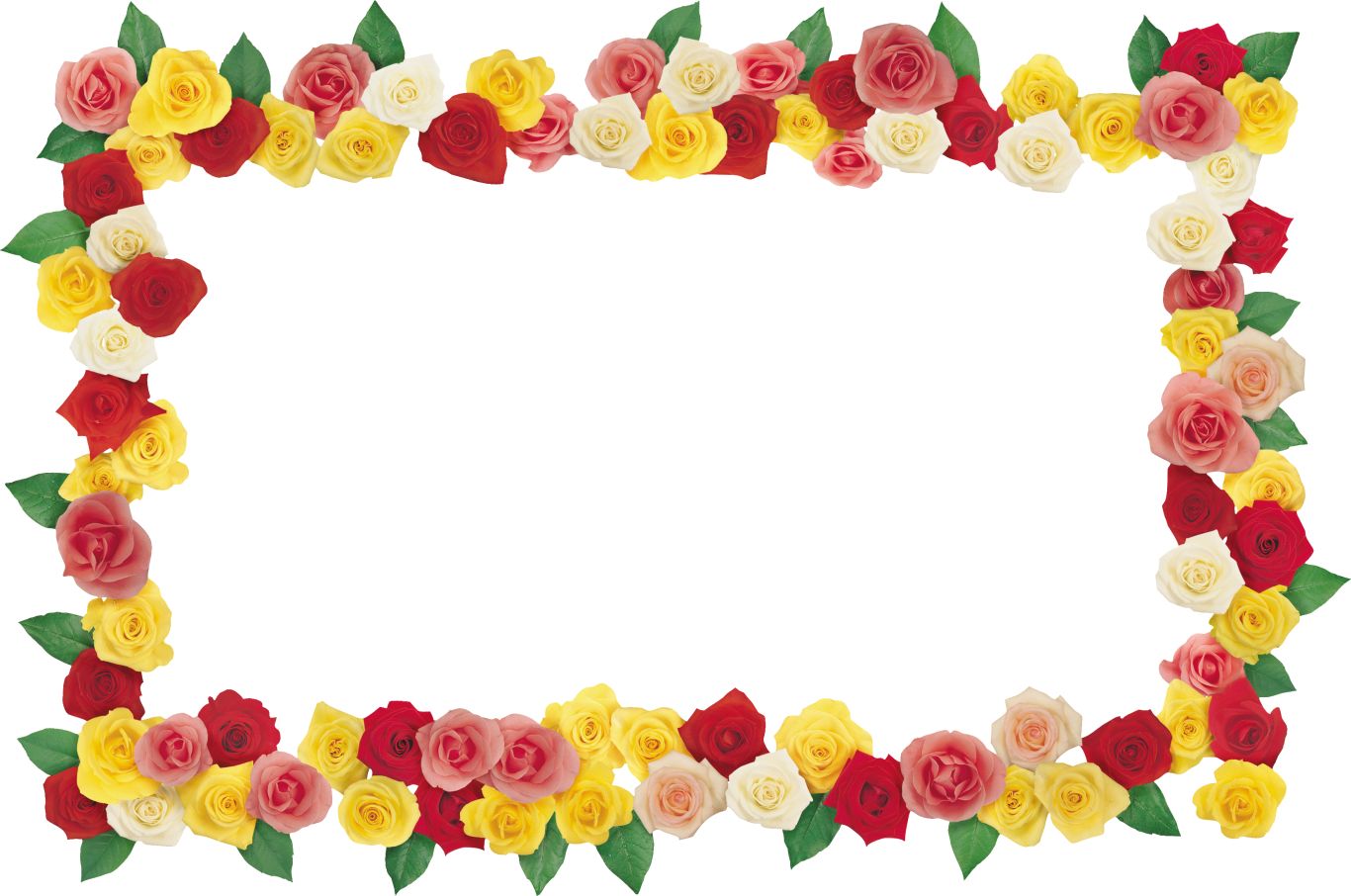 Floral frame PNG    图片编号:81342