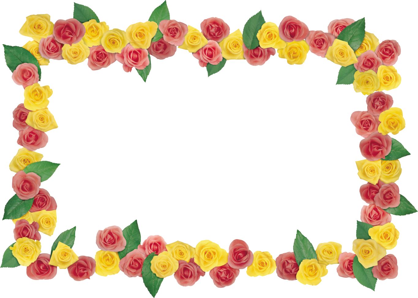 Floral frame PNG    图片编号:81344