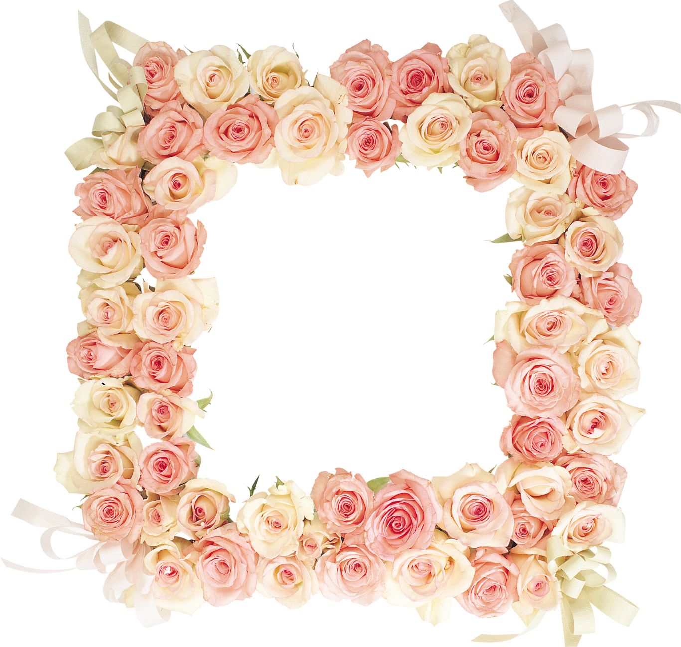 Floral frame PNG    图片编号:81345