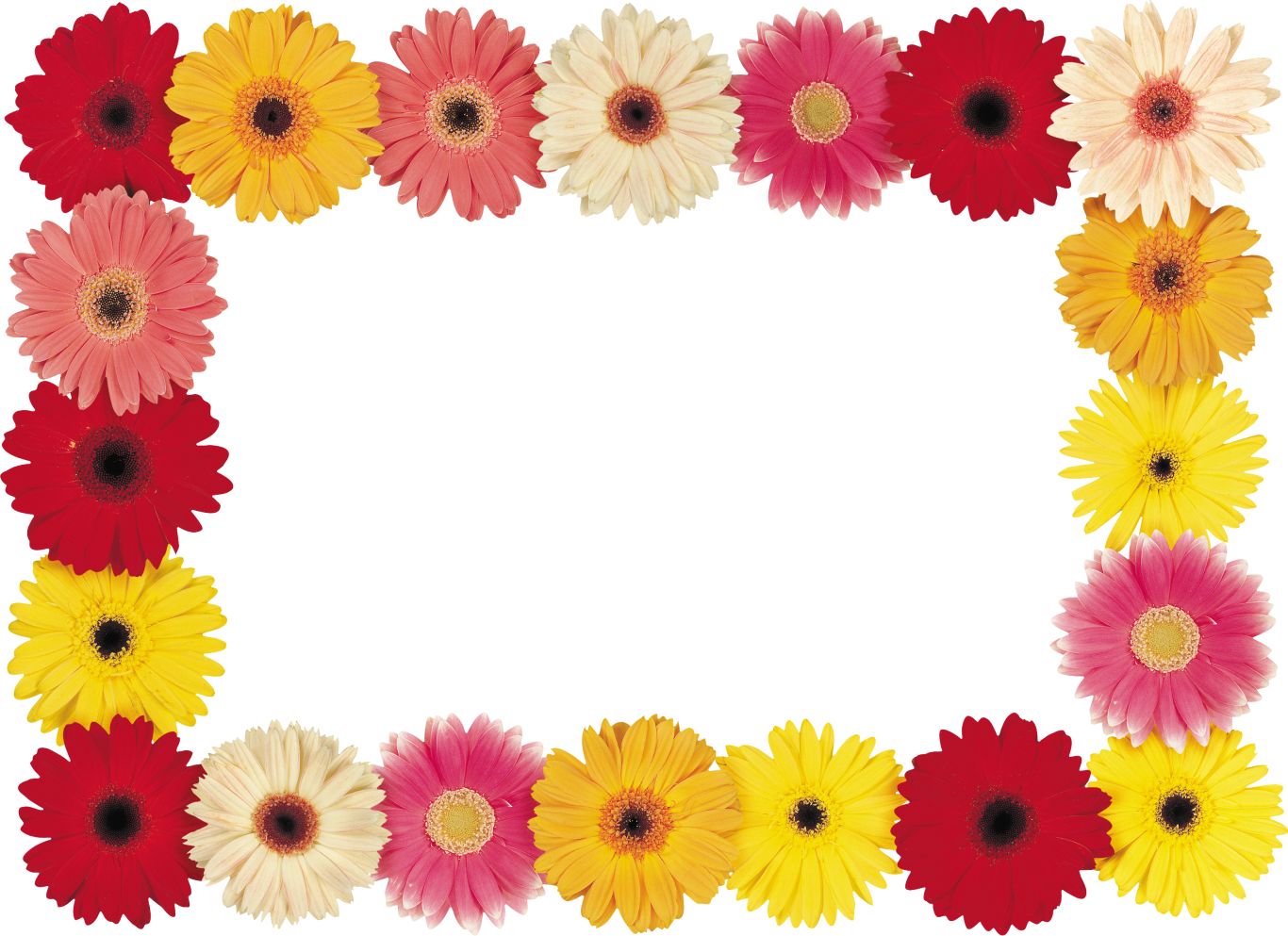 Floral frame PNG    图片编号:81350