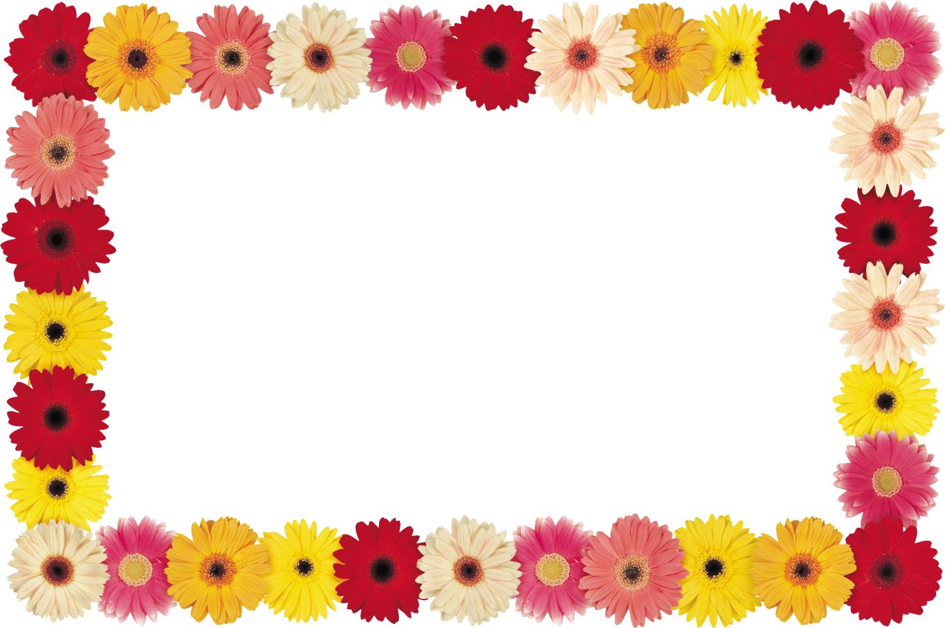 Floral frame PNG    图片编号:81351