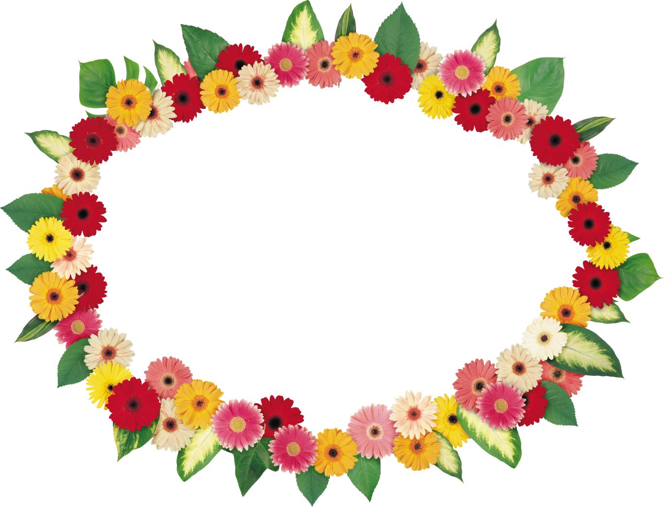 Floral frame PNG    图片编号:81353