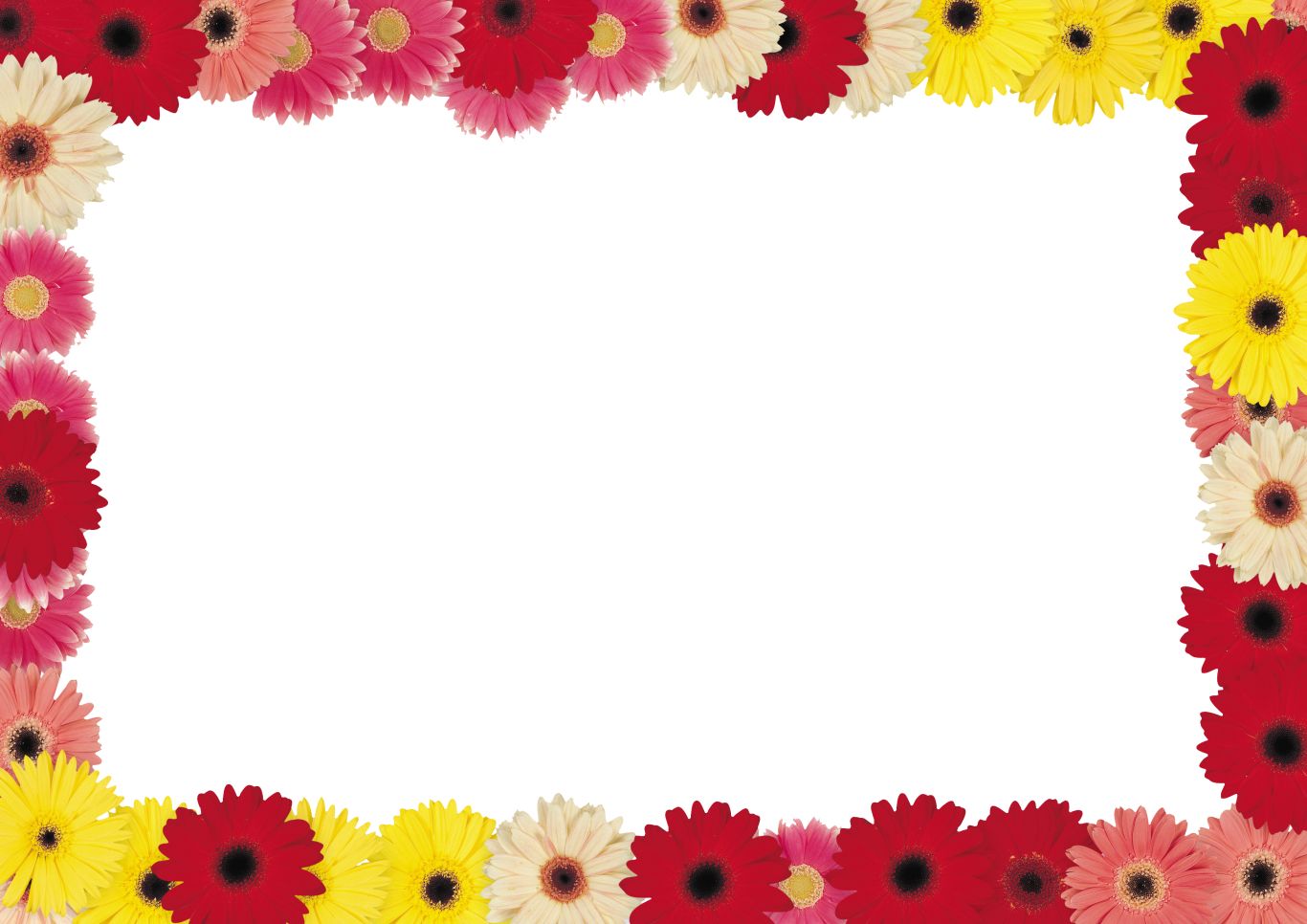 Floral frame PNG    图片编号:81354