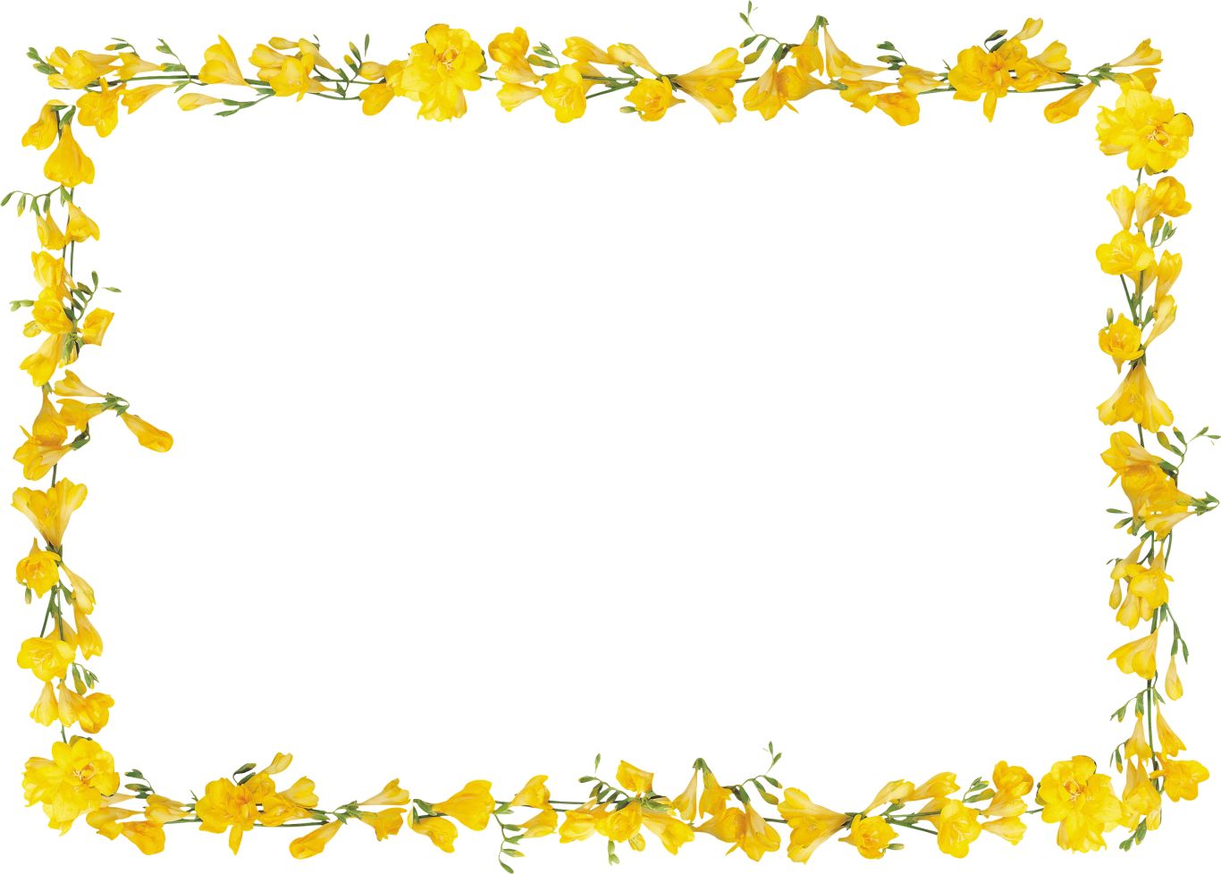 Floral frame PNG    图片编号:81358