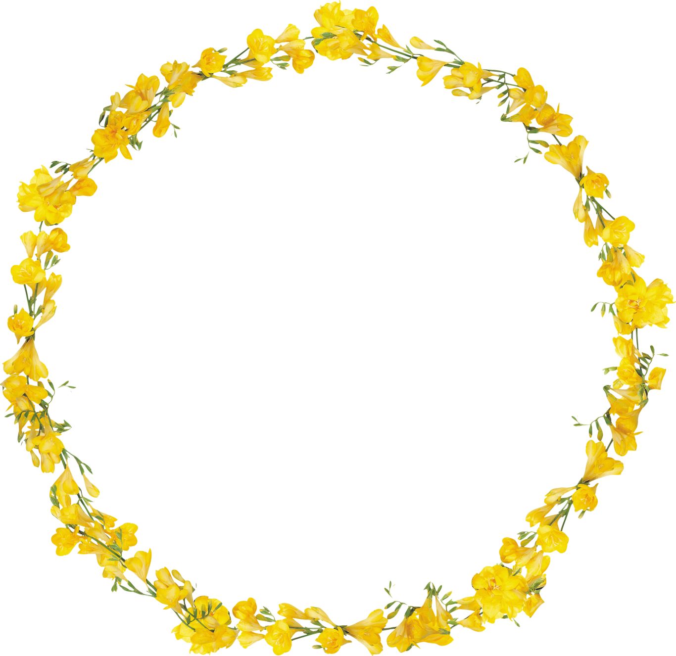 Floral frame PNG    图片编号:81359
