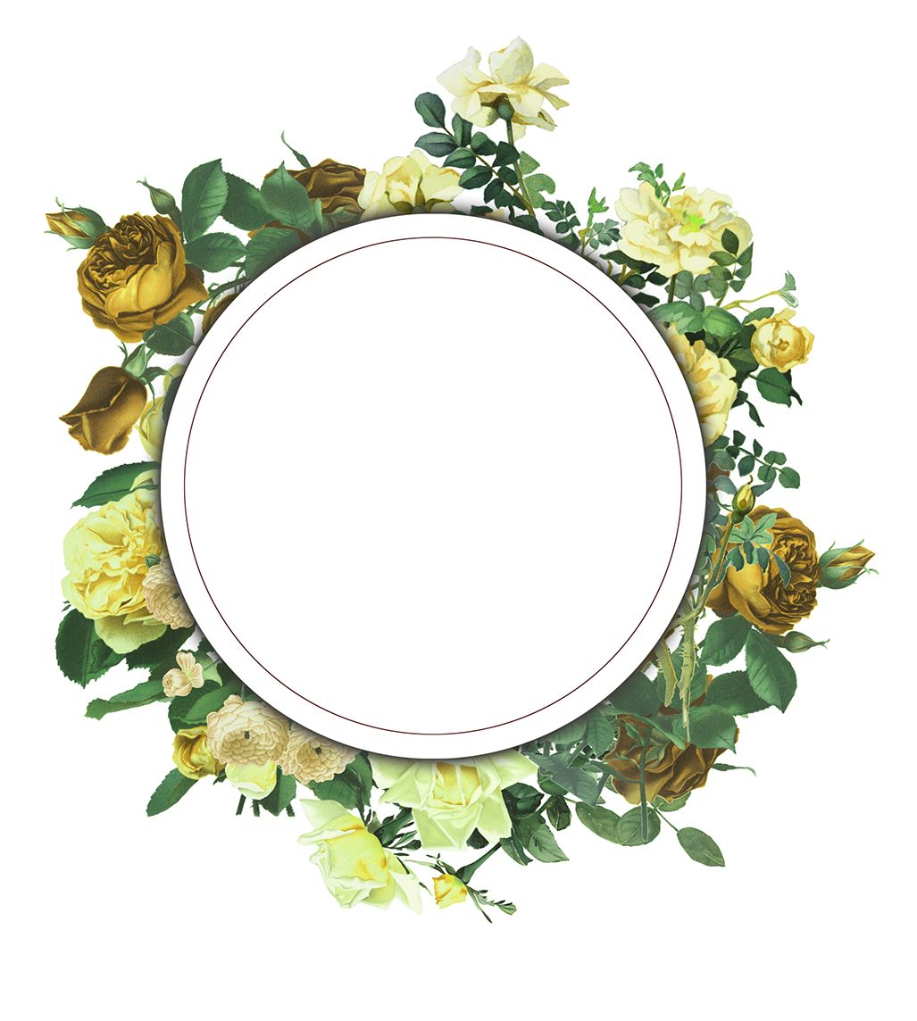 Floral frame PNG    图片编号:81362
