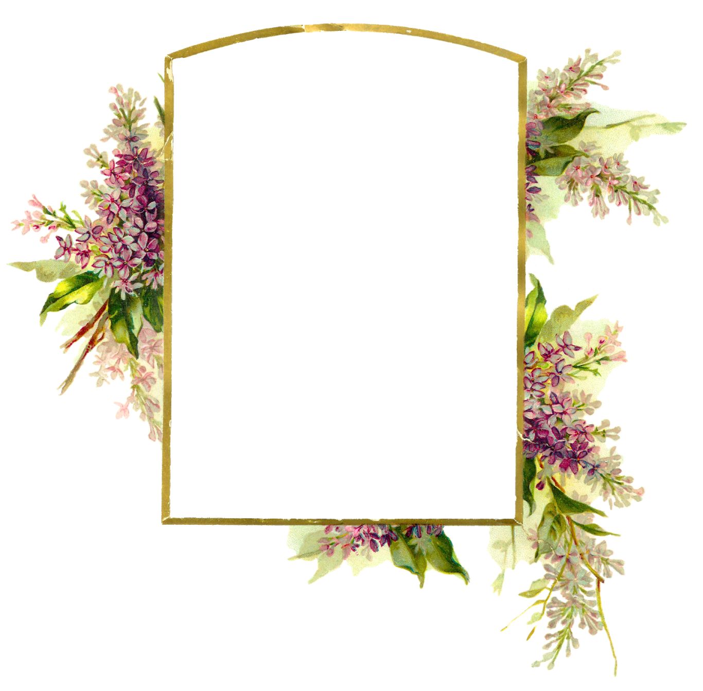 Floral frame PNG    图片编号:81363