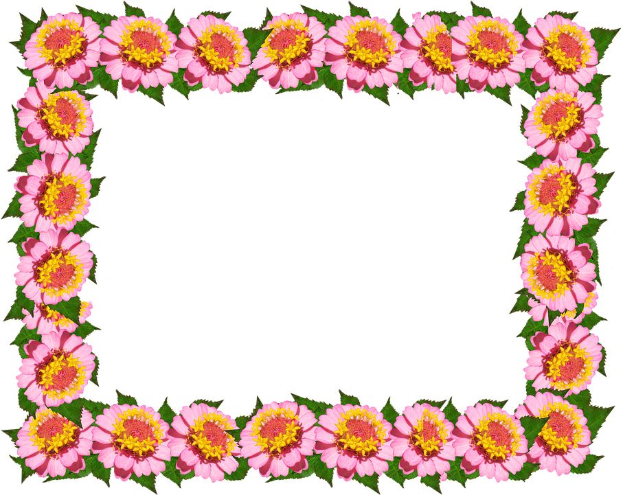 Floral frame PNG    图片编号:81050