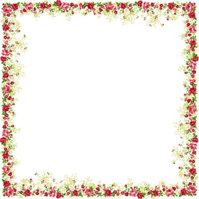 Floral frame PNG    图片编号:81056