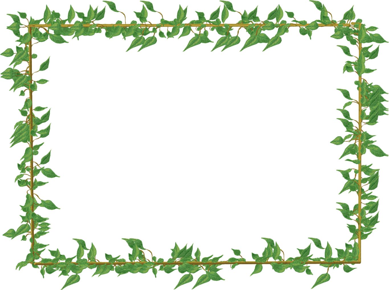 Floral frame PNG    图片编号:81016