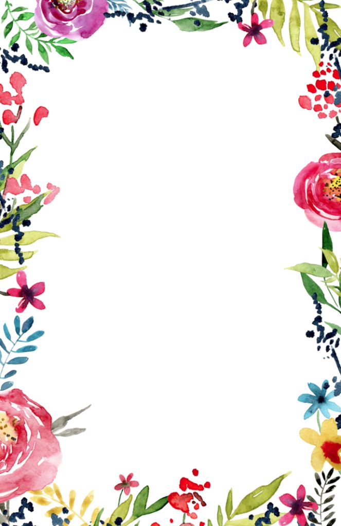 Floral frame PNG    图片编号:81063