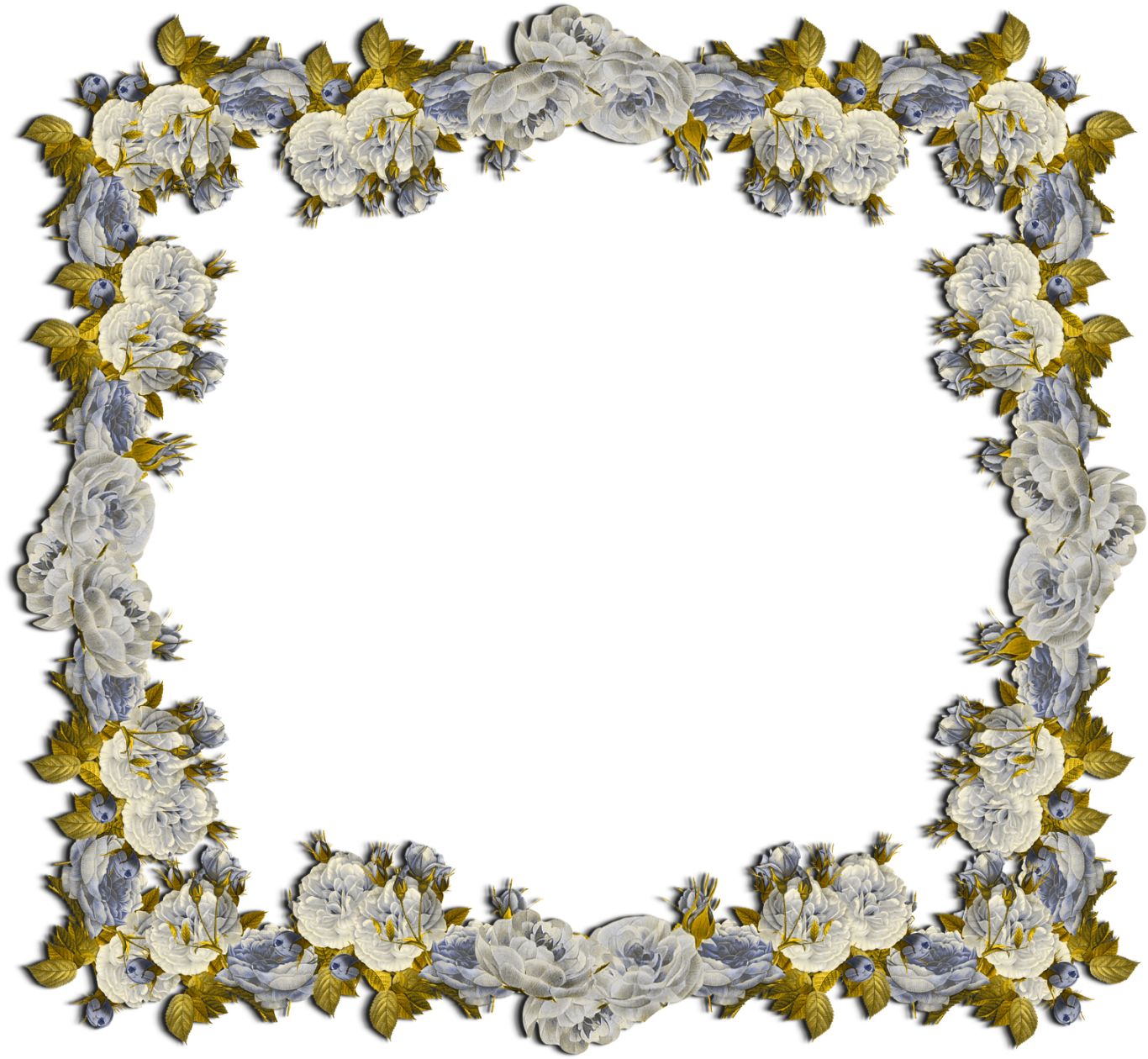 Floral frame PNG    图片编号:81017