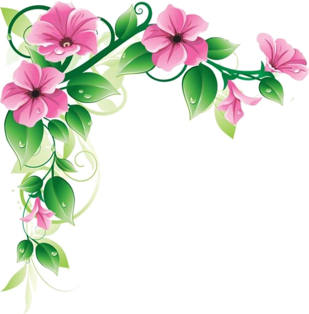 Floral frame PNG    图片编号:81075