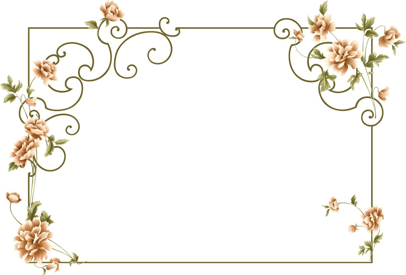 Floral frame PNG    图片编号:81092