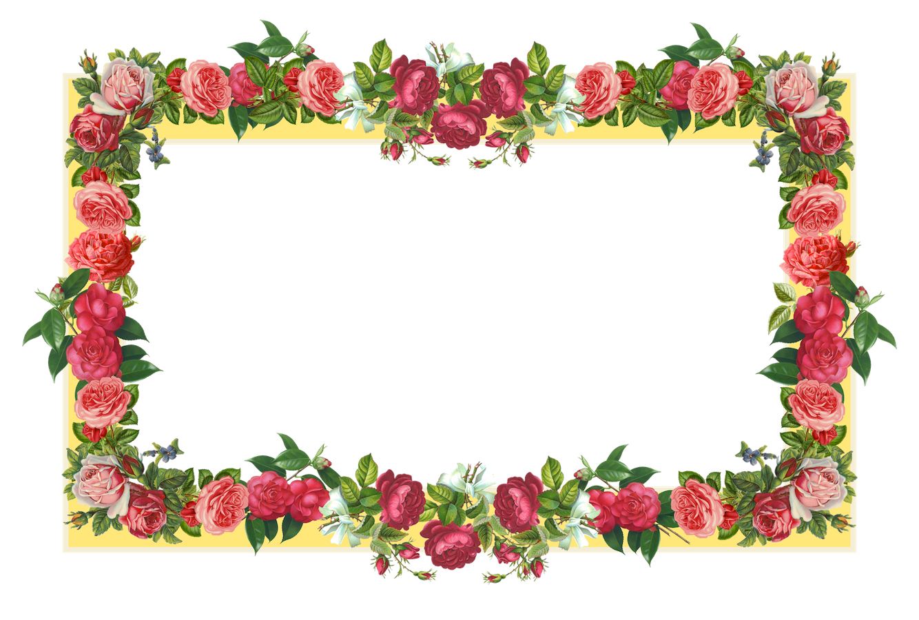 Floral frame PNG    图片编号:81094