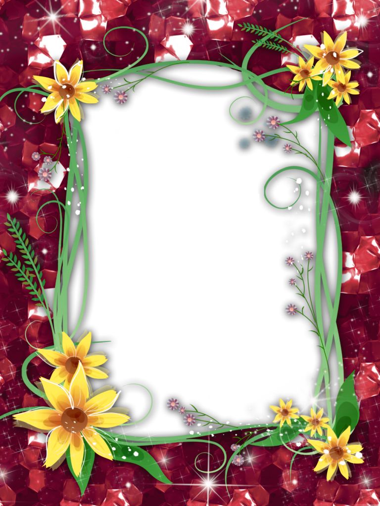 Floral frame PNG    图片编号:81096