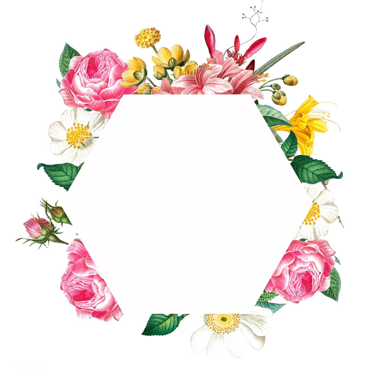 Floral frame PNG    图片编号:81099