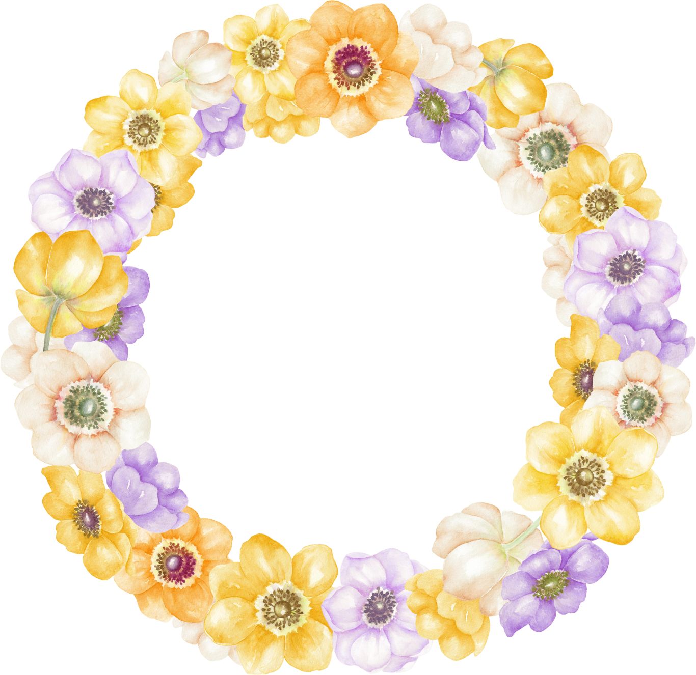 Floral frame PNG    图片编号:81104
