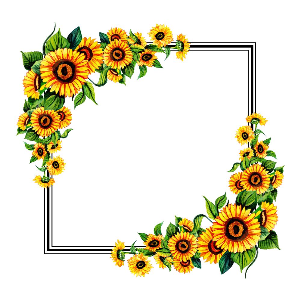 Floral frame PNG    图片编号:95253