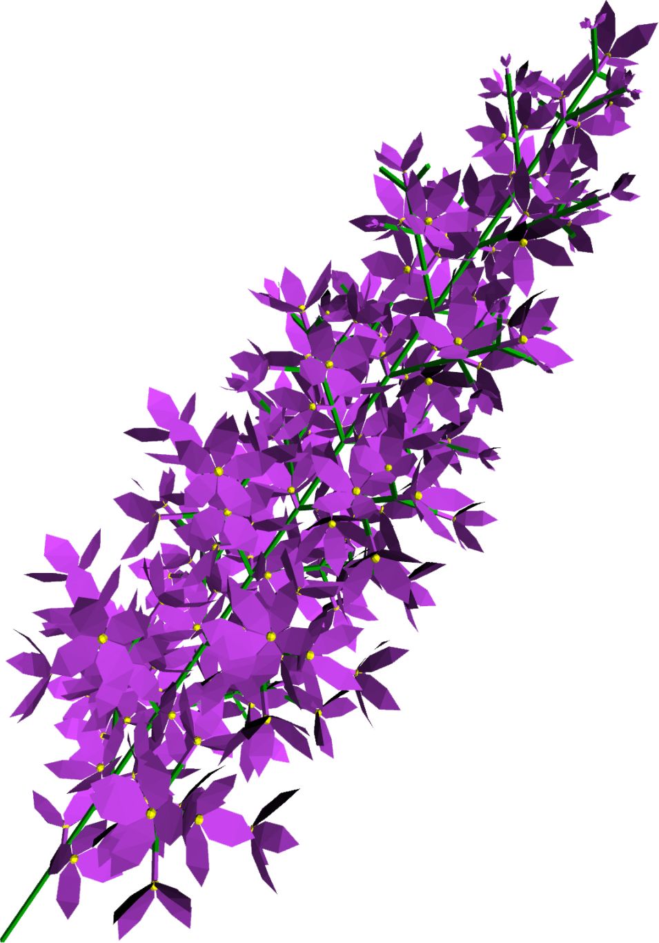 Lilac PNG    图片编号:85091