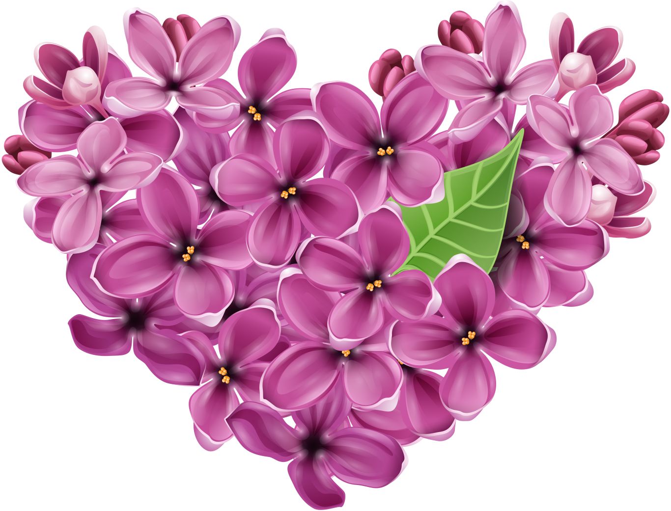 Lilac PNG    图片编号:85099