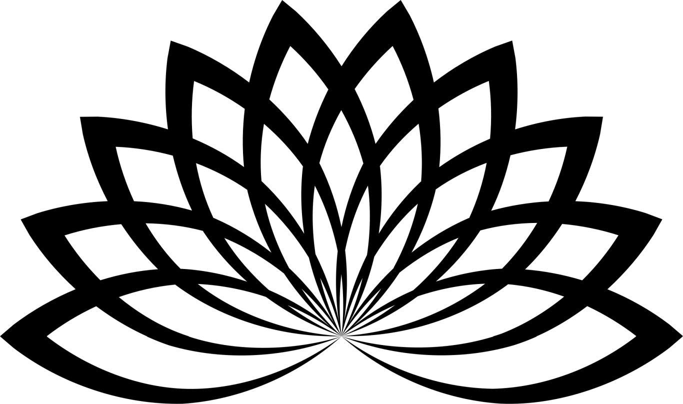 Lotus flower PNG    图片编号:69723